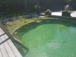 IMG-20180605-WA0043-300x225