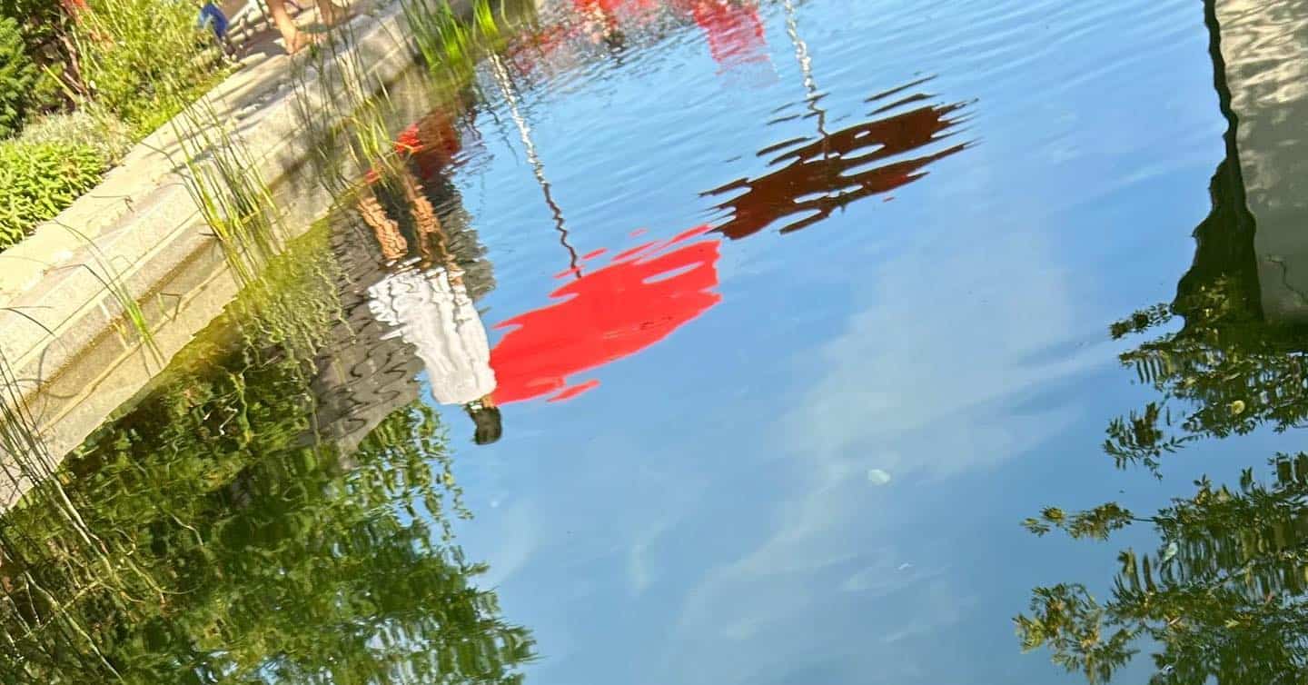 das-faszinierende-chemische-gleichgewicht-eines-naturpools