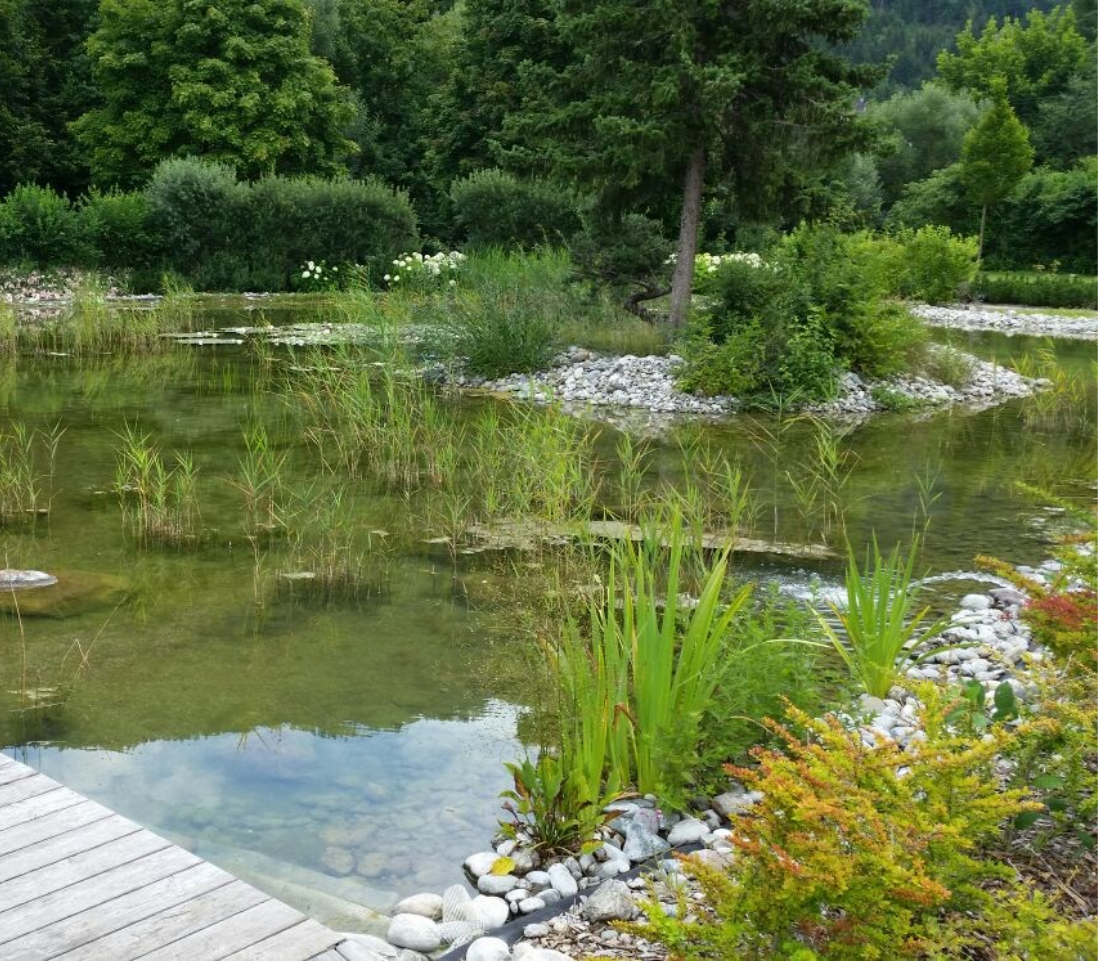 naturpool2
